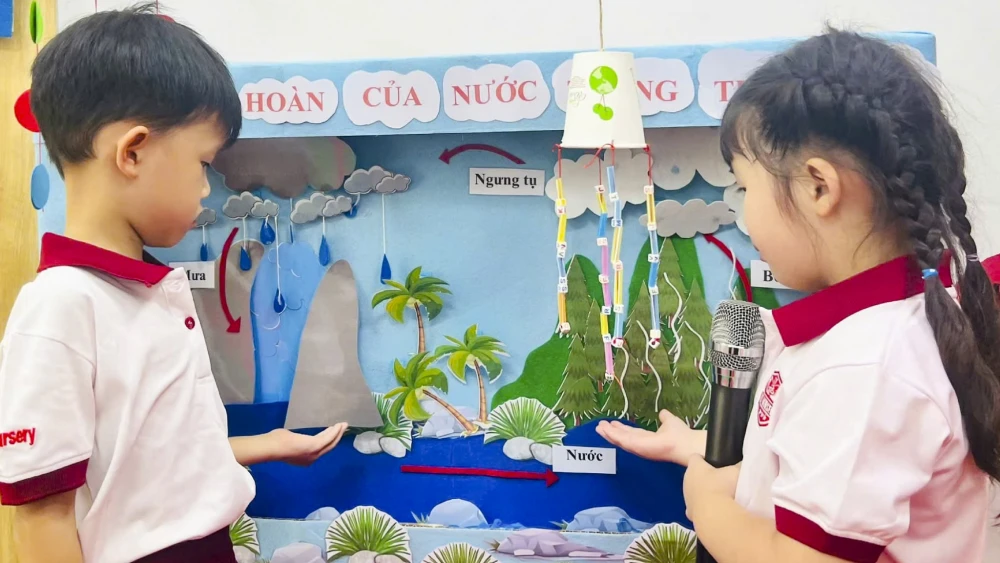 Dự án & triển lãm