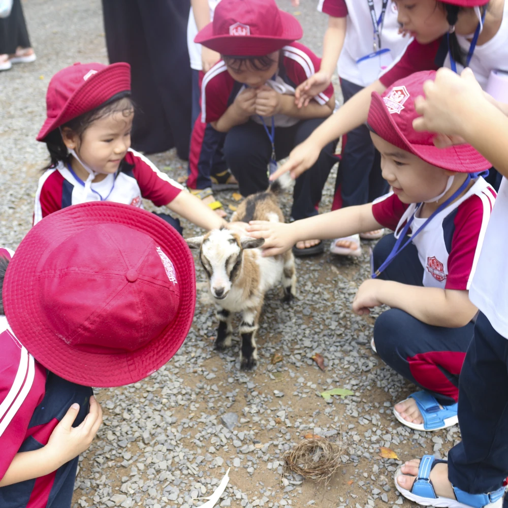 Tình cảm & kỹ năng xã hội